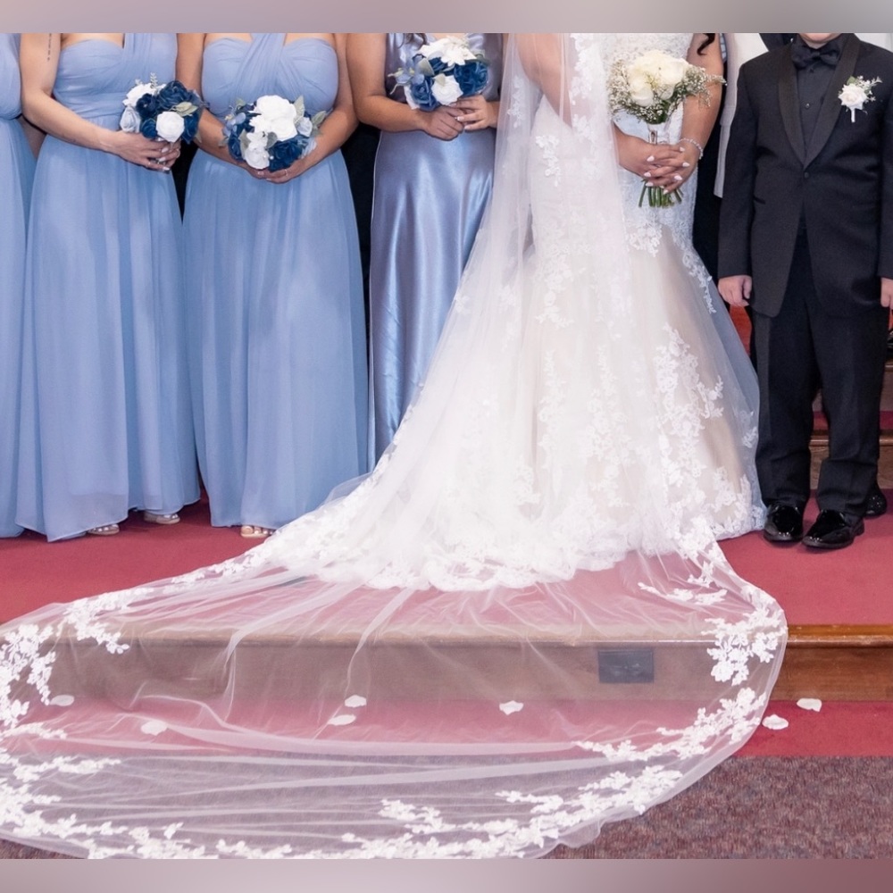 Cathedral veil
